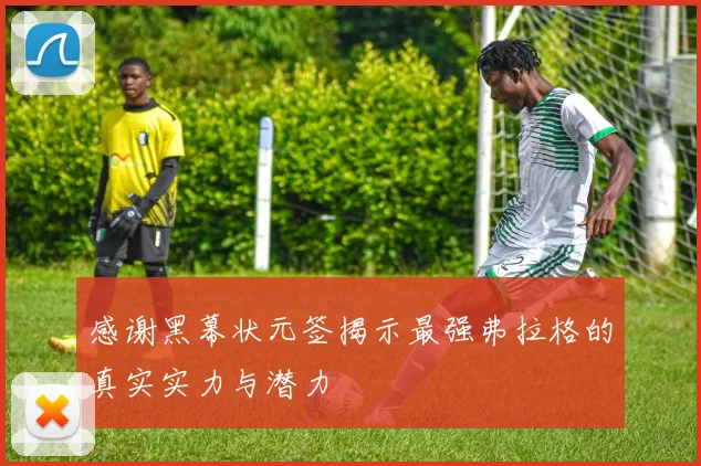 感谢黑幕状元签揭示最强弗拉格的真实实力与潜力