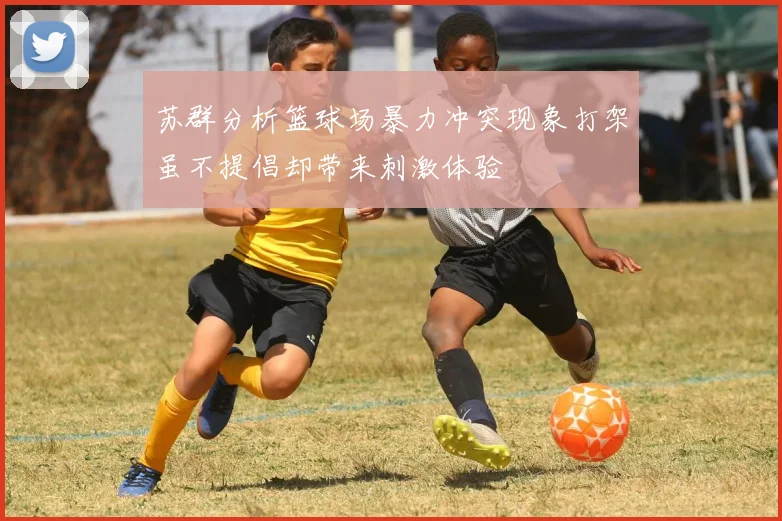 苏群分析篮球场暴力冲突现象打架虽不提倡却带来刺激体验