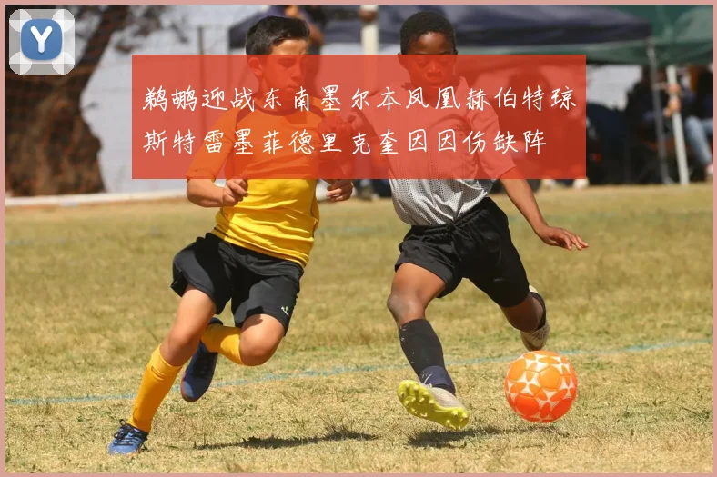 鹈鹕迎战东南墨尔本凤凰赫伯特琼斯特雷墨菲德里克奎因因伤缺阵