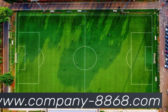 8868体育服务体系